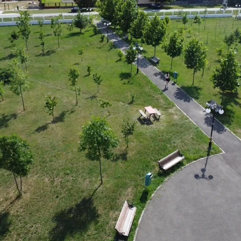 parc de plimbari relaxante camin de batrani grija iubire mancare caldura
